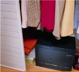 Cajas fuertes FICHET en Madrid