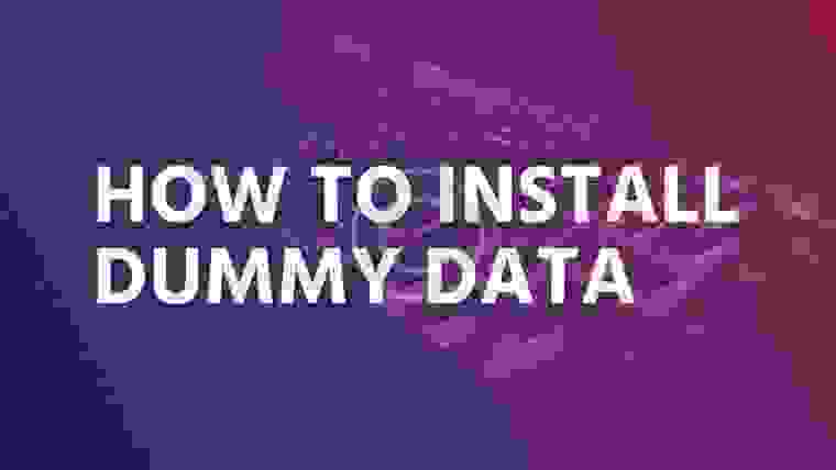 How to install dummy data